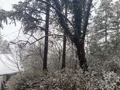 -江南天池