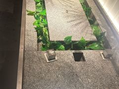 -新紫霞养生·影院足道·SPA(金山区店)
