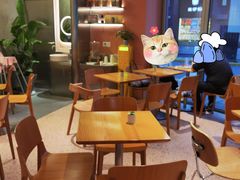 -WHEN PIGS FLY当猪飞