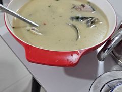 -煲来饱去冷水鱼