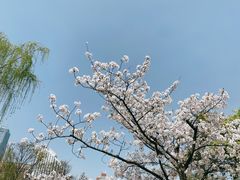 -新虹桥中心花园