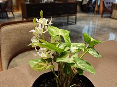-今轩中餐厅(西安经开洲际酒店)