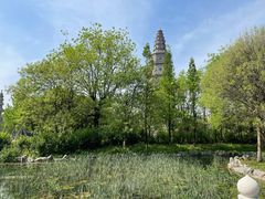 -兴隆文化园景区