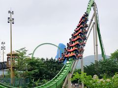 -鹦鹉过山车