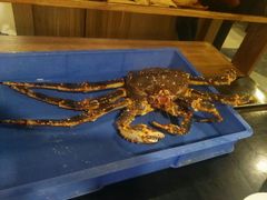 -蟹后Crabber(水悦城店)