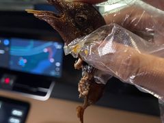 -光明刘冰乳鸽店(光明法政北路店)