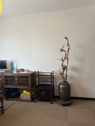 -清疣美疣·痣·斑净肤中心