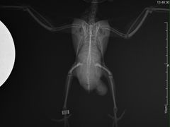 -雨林宠物医院 非犬猫异宠专科