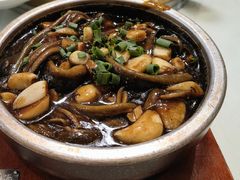 软兜长鱼-梧桐老院子