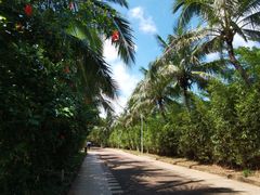 -白沙门生态公园