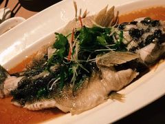 -夜上海(新天地店)