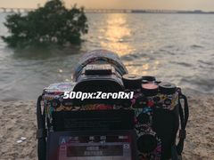 -宝安西湾红树林湿地公园