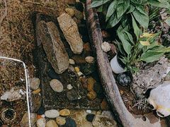 -阿嫂印象·民间江湖菜(大学城店)