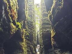 -梭布垭石林景区