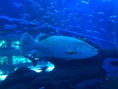 -成都浩海立方海洋公园