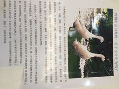 波记农庄-波记农庄