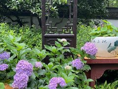 -杭州植物园