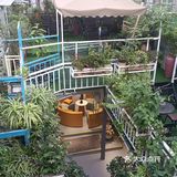 人在花间住人在草木中～咖啡馆里有个小小植物园