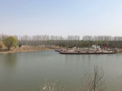-东郊湿地公园