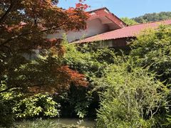 -中国茶叶博物馆(双峰馆区)