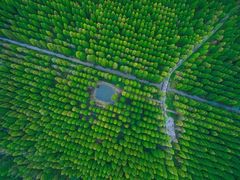 -黄海国家森林公园