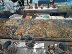 -半岛听涛蒸汽海鲜自助(K11店)