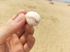 -碧海金沙