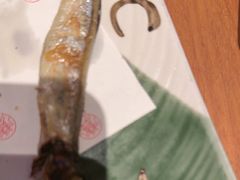 -月龍吟(朝龙汇店)