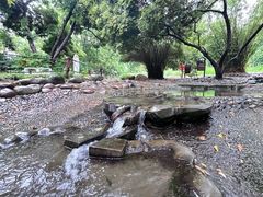 -成都市活水公园