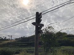 -军营村
