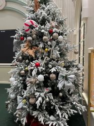 -奈尔宝·儿童乐园·亲子餐厅(华采天地店)