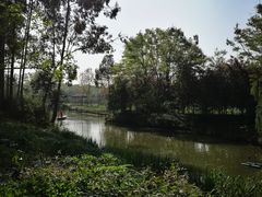 -白鹭湾湿地公园