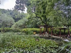 -赭山公园