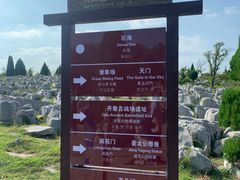 -原山国家森林公园