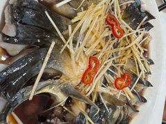 -煲来饱去冷水鱼