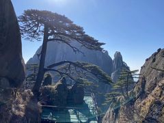 -黄山风景区