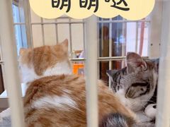-情忆草原涮肉馆