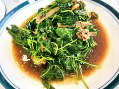 -蟹天蟹地农家菜·阳澄湖大闸蟹(浅水湾店)