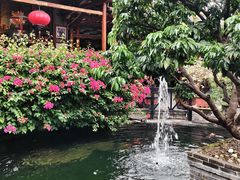 -猪肉婆私房菜(容桂总店)