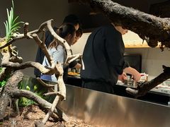 -曲廊院(东四十一条店)