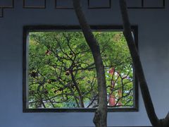 -秋霞圃