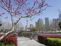 -上海外滩英迪格酒店