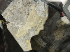 -琥珀老六龙虾(四里河店)