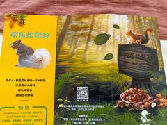 -欢乐松鼠谷