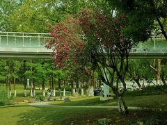 -昆山城市公园