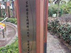 -九龙公园