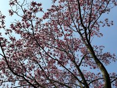 -玄武湖景区-情侣园游乐场