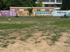 -趣玩宠物乐园寄养训犬训狗游泳池