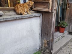 -素满香·素食自助餐(苏州·临顿路店)