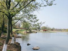 -贡湖湾湿地公园